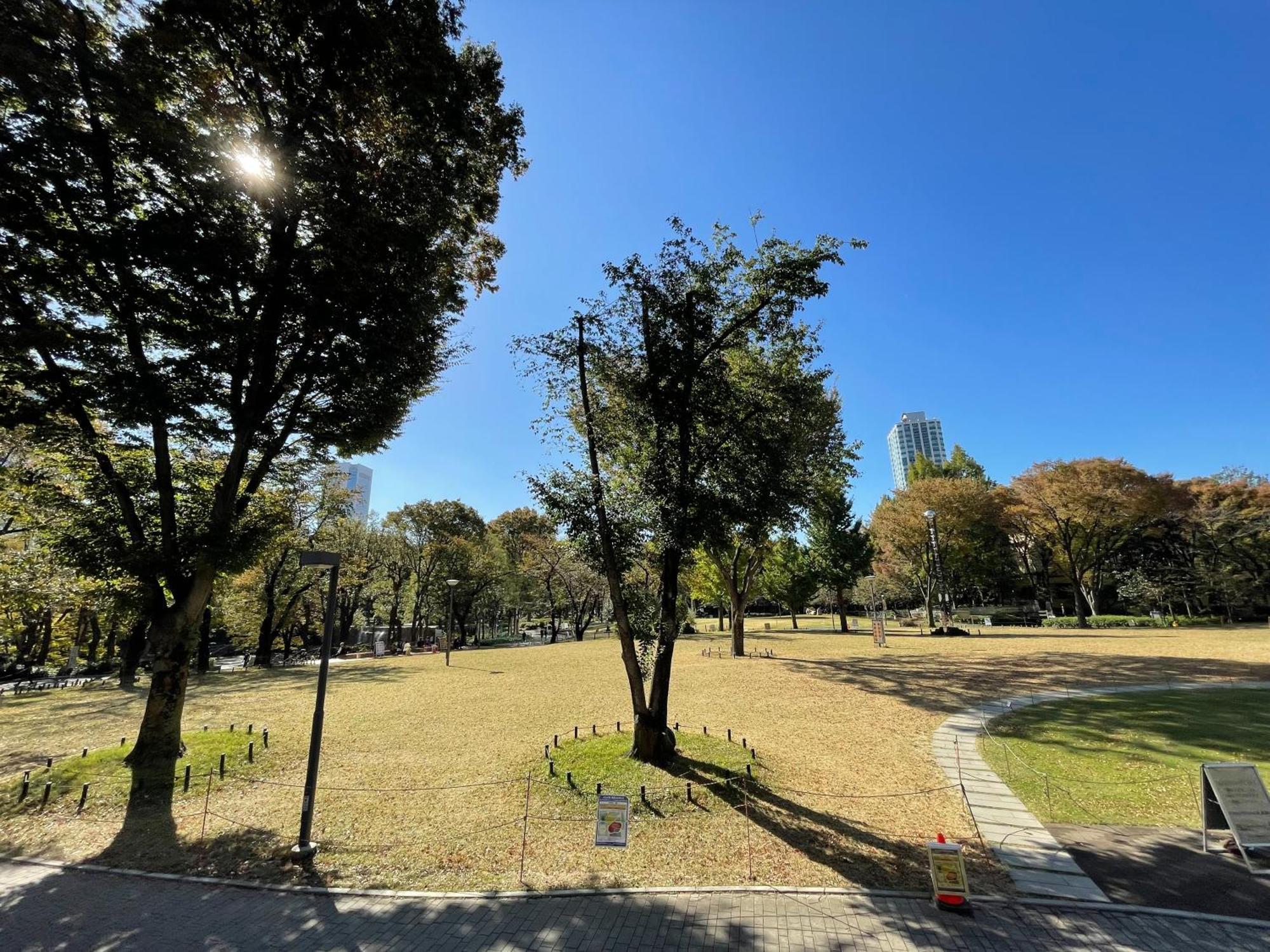 Max4People Shinjuku 7Minutes Shibuya12 Minutes 5Minutes Walk From Hatsudai Station Leon Resort Shibuya Tokyo prefektur Exteriör bild